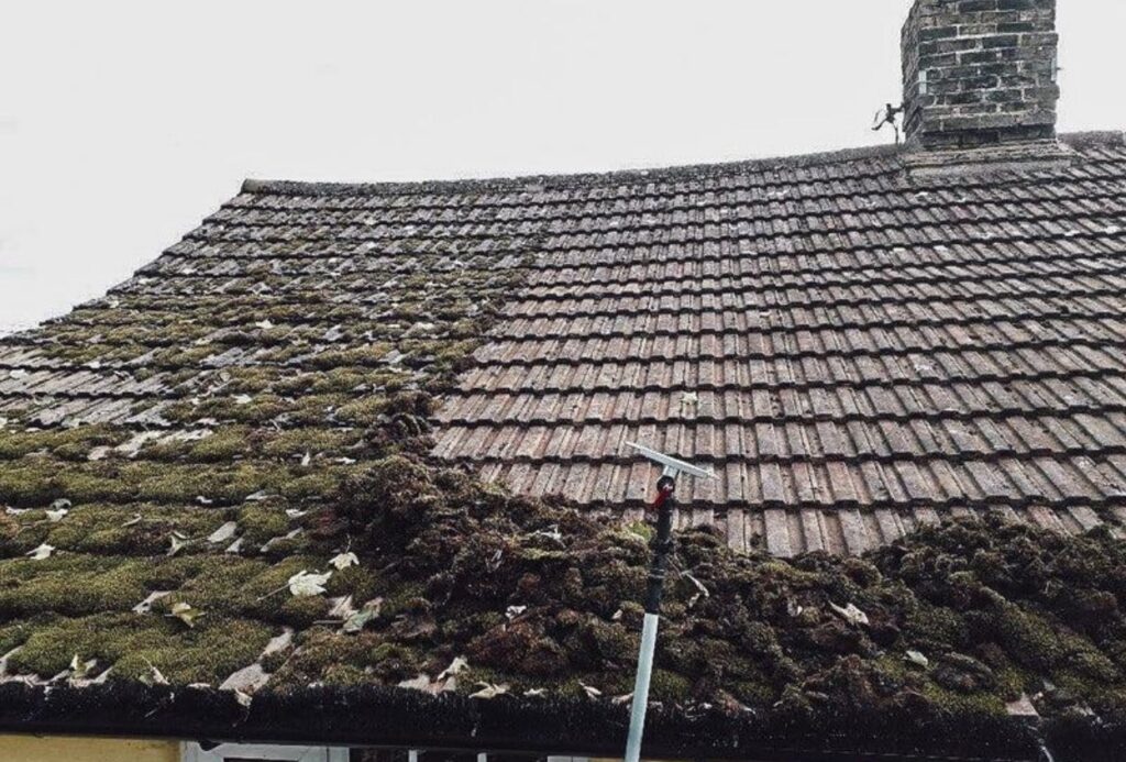 Sky Scrapers roof cleaning in progress